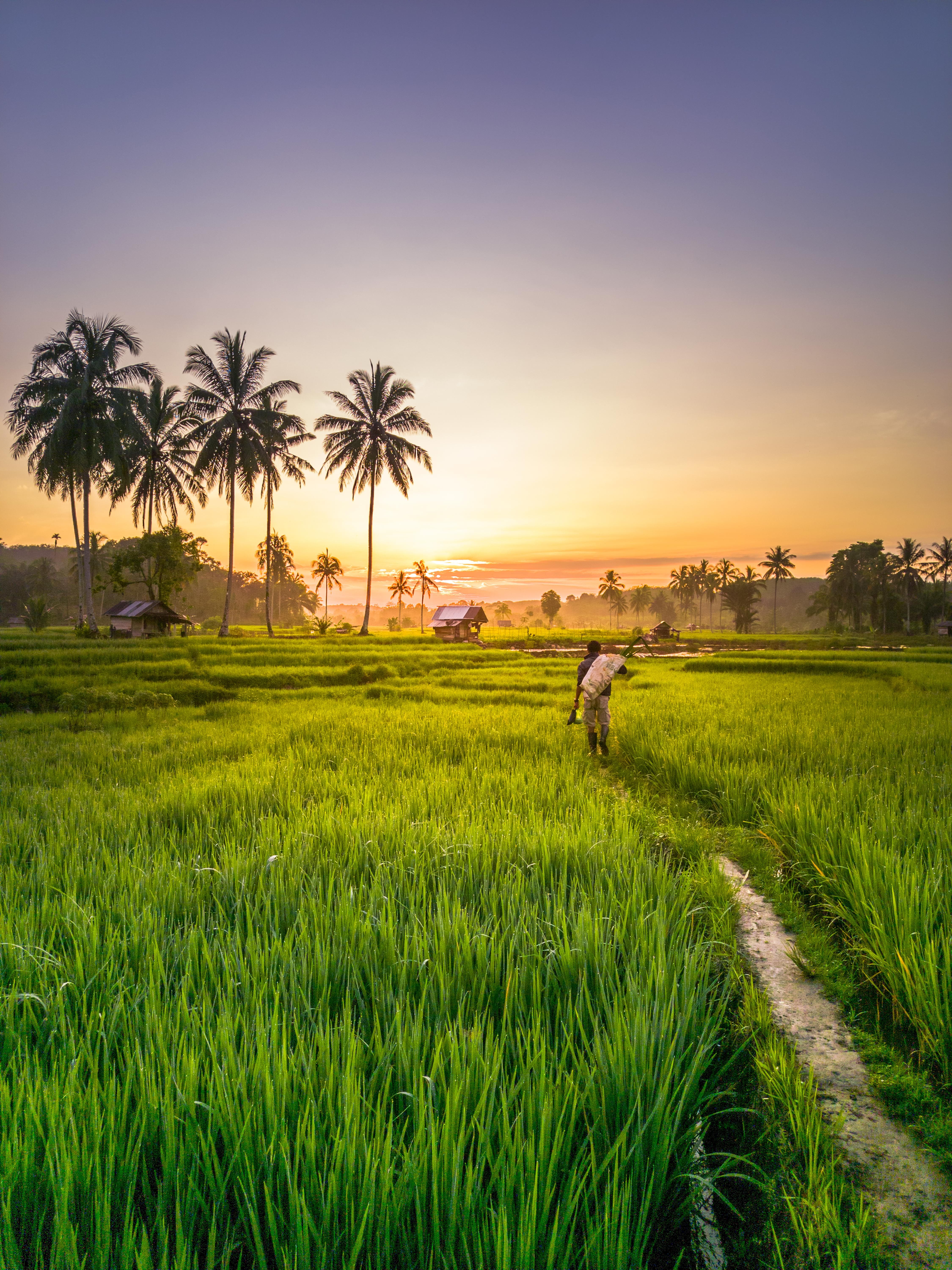 Bali, Gili e Lombok — Bali, Gili, Lombok, Indonesia